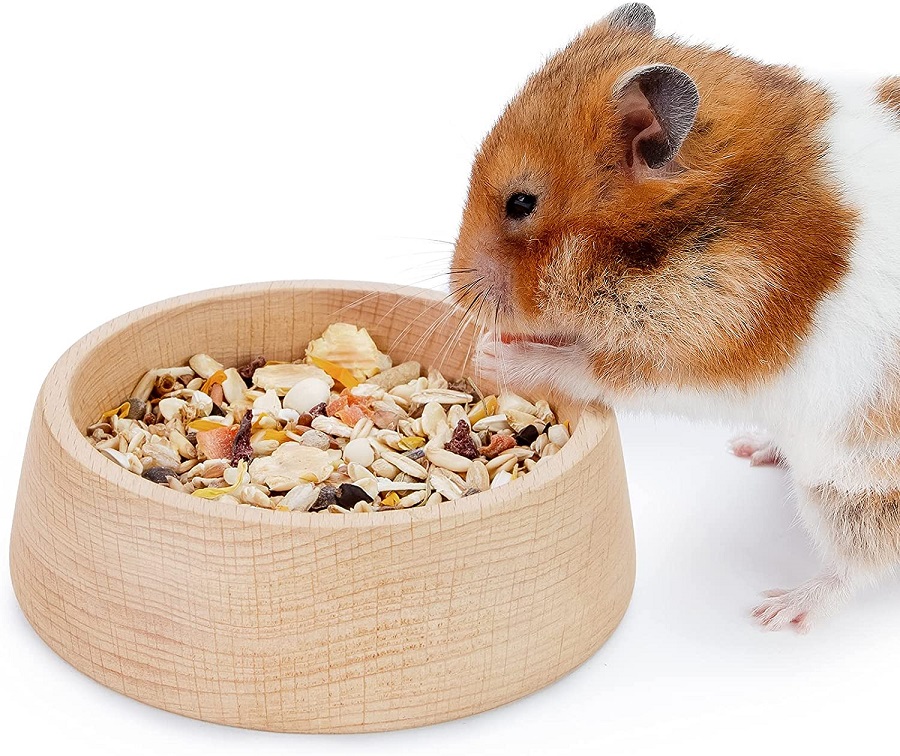 What do golden hamsters eat?