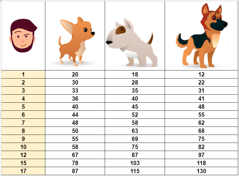 Dog years to human years - how to calculate a dog's age?